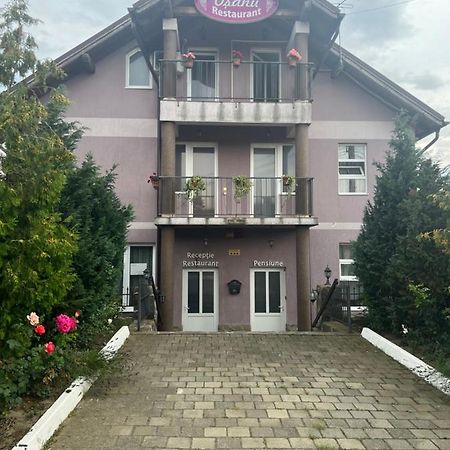 Pensiune Osanu Sibiu Exteriér fotografie