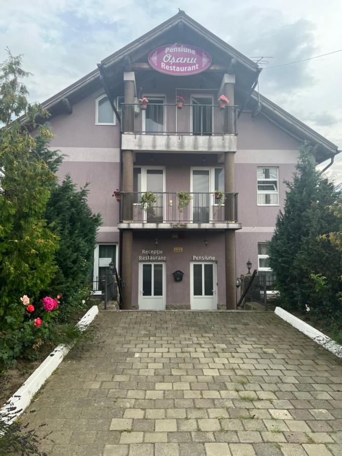 Pensiune Osanu Sibiu Exteriér fotografie